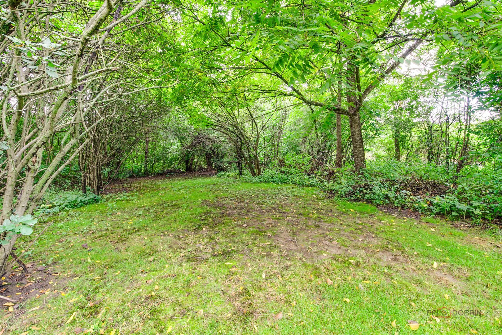 main property photo 38