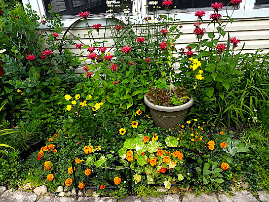 main property photo 26