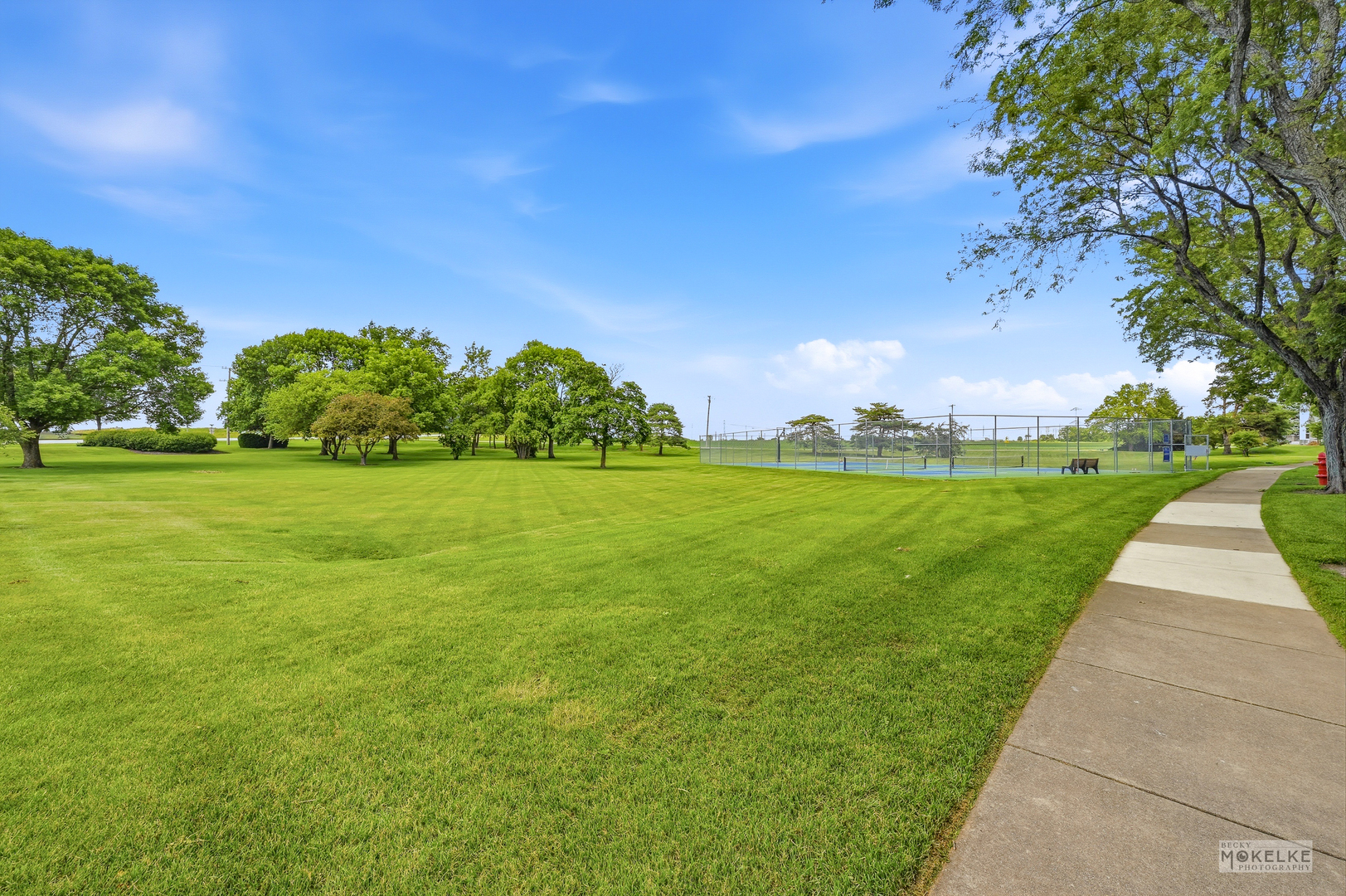main property photo 58