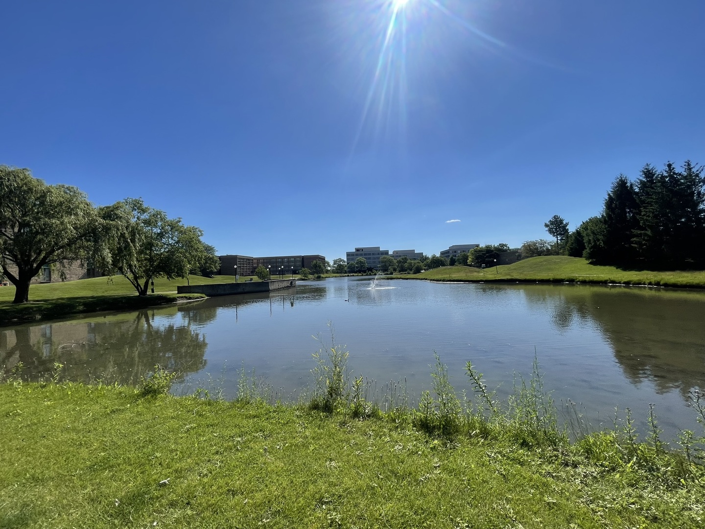 main property photo 32