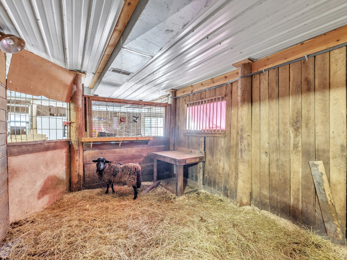 main property photo 23
