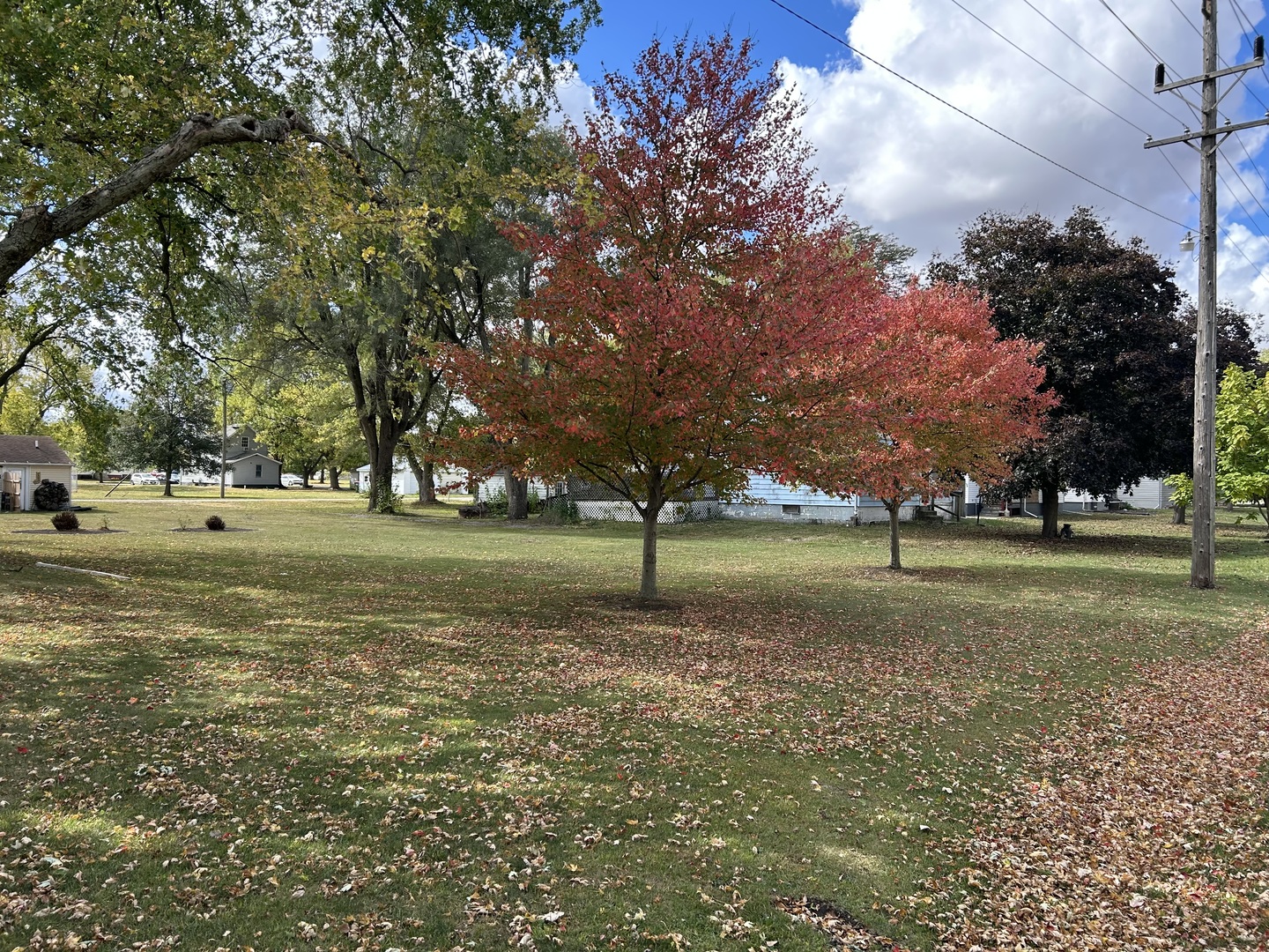main property photo 37