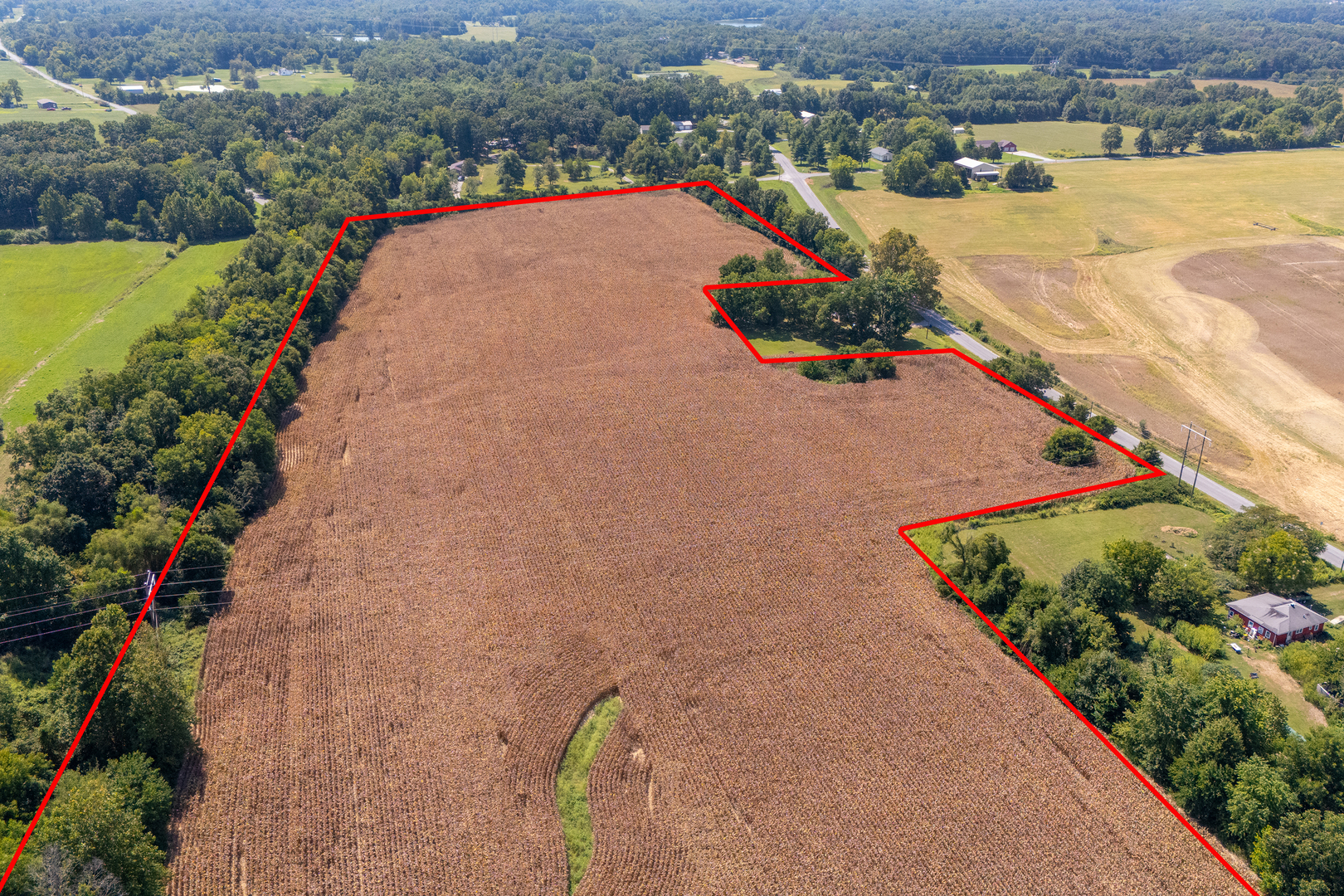 main property photo 4