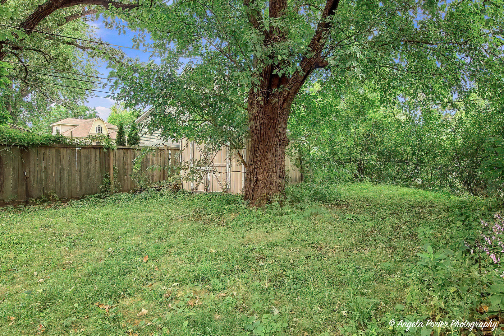 main property photo 14