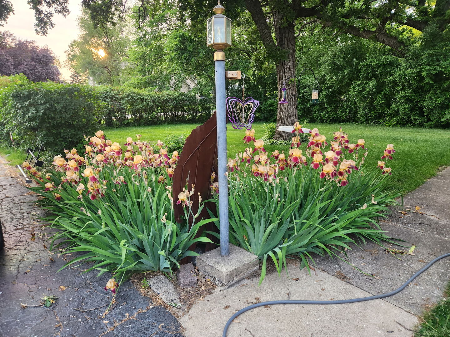 main property photo 26