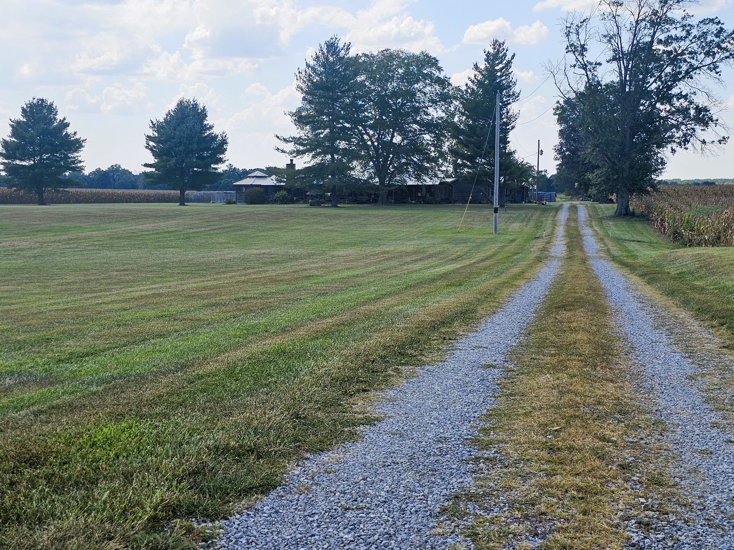 main property photo 4
