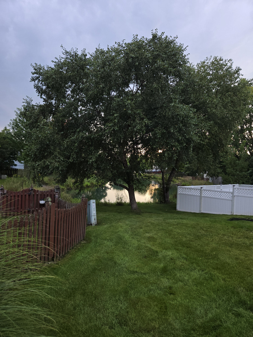 main property photo 21
