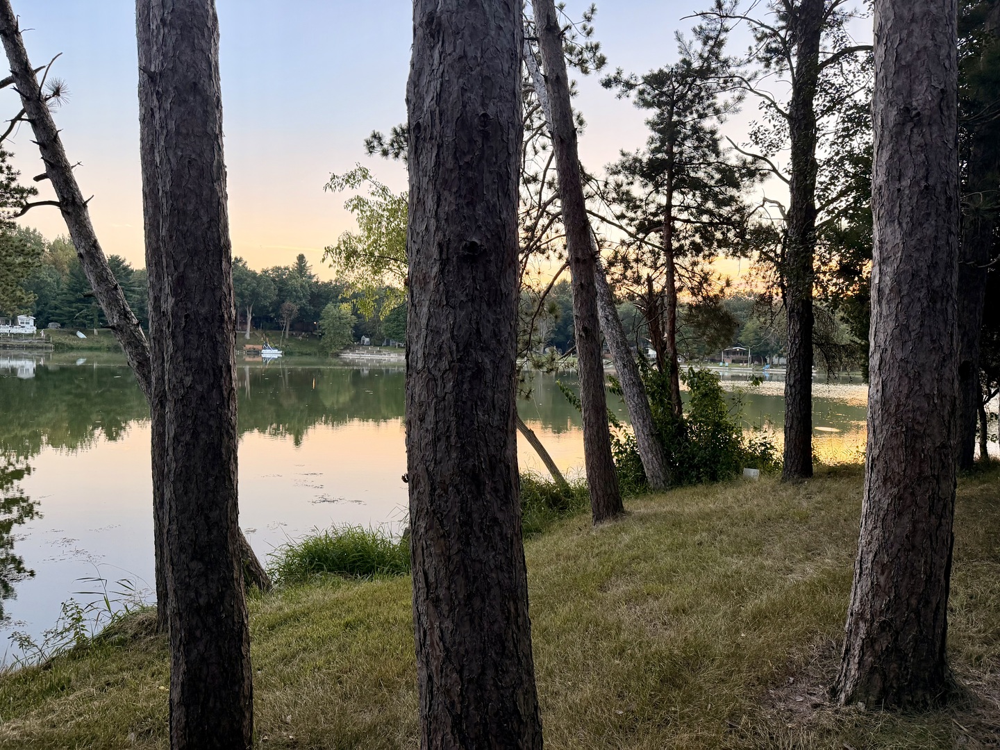 main property photo 37