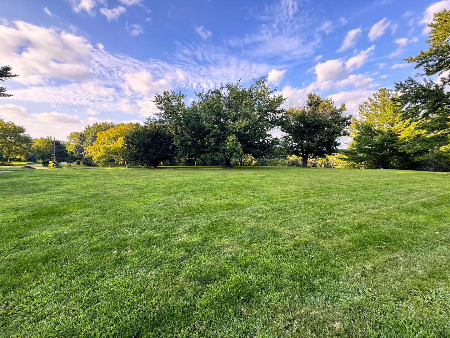 main property photo 41