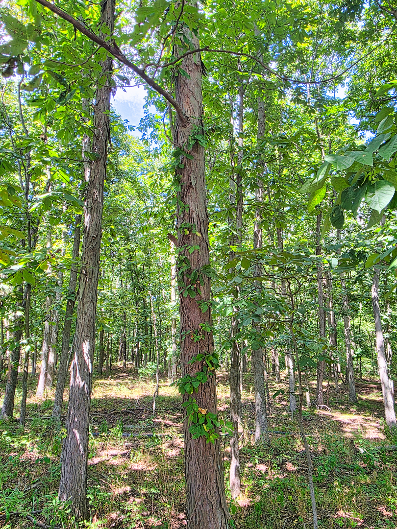 main property photo 90