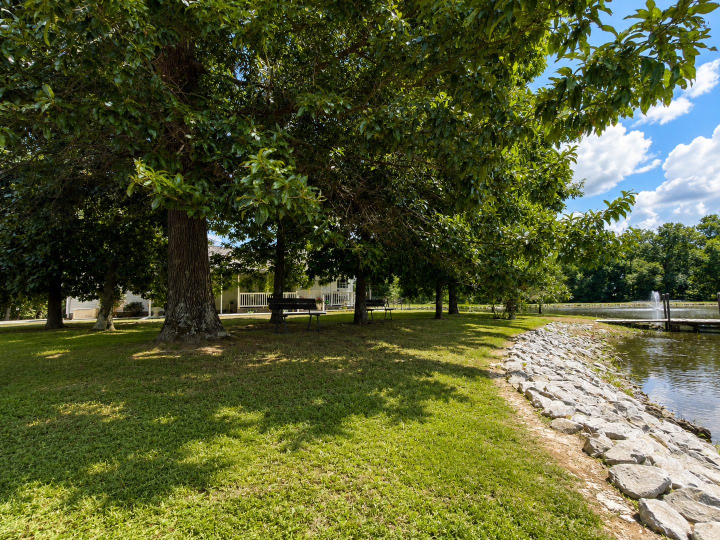 main property photo 98