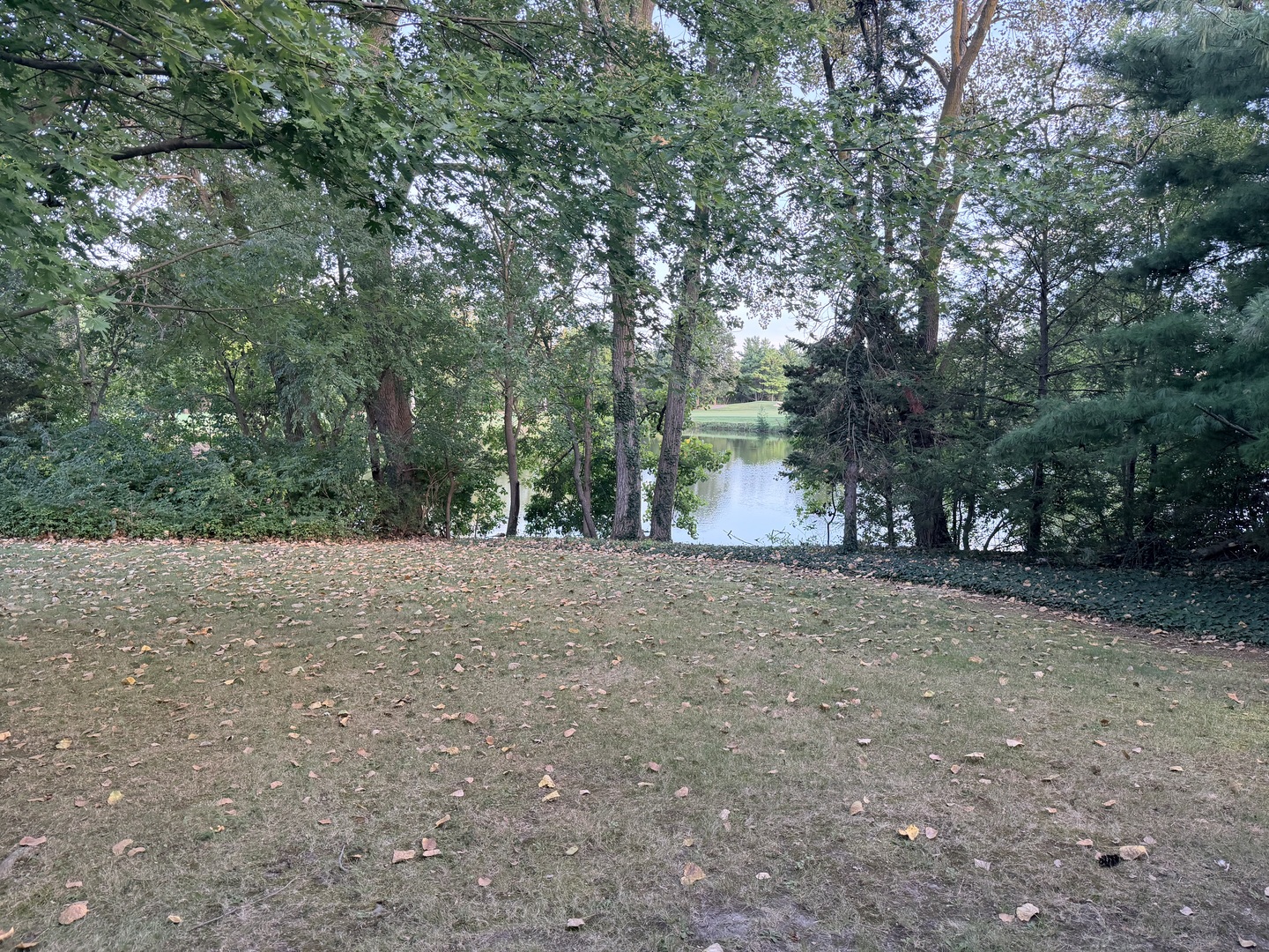 main property photo 7