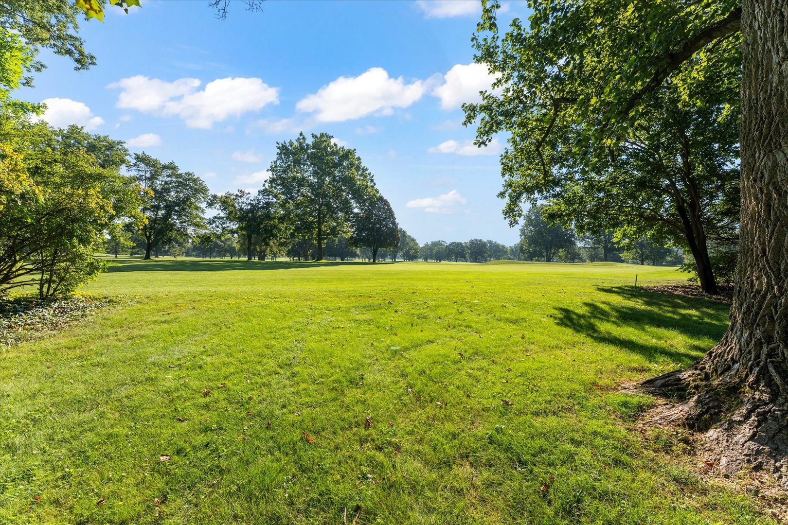 main property photo 53