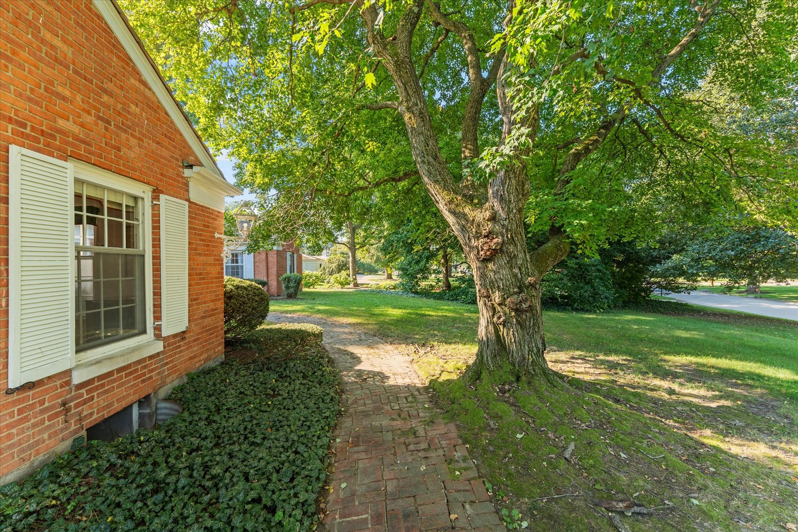 main property photo 58