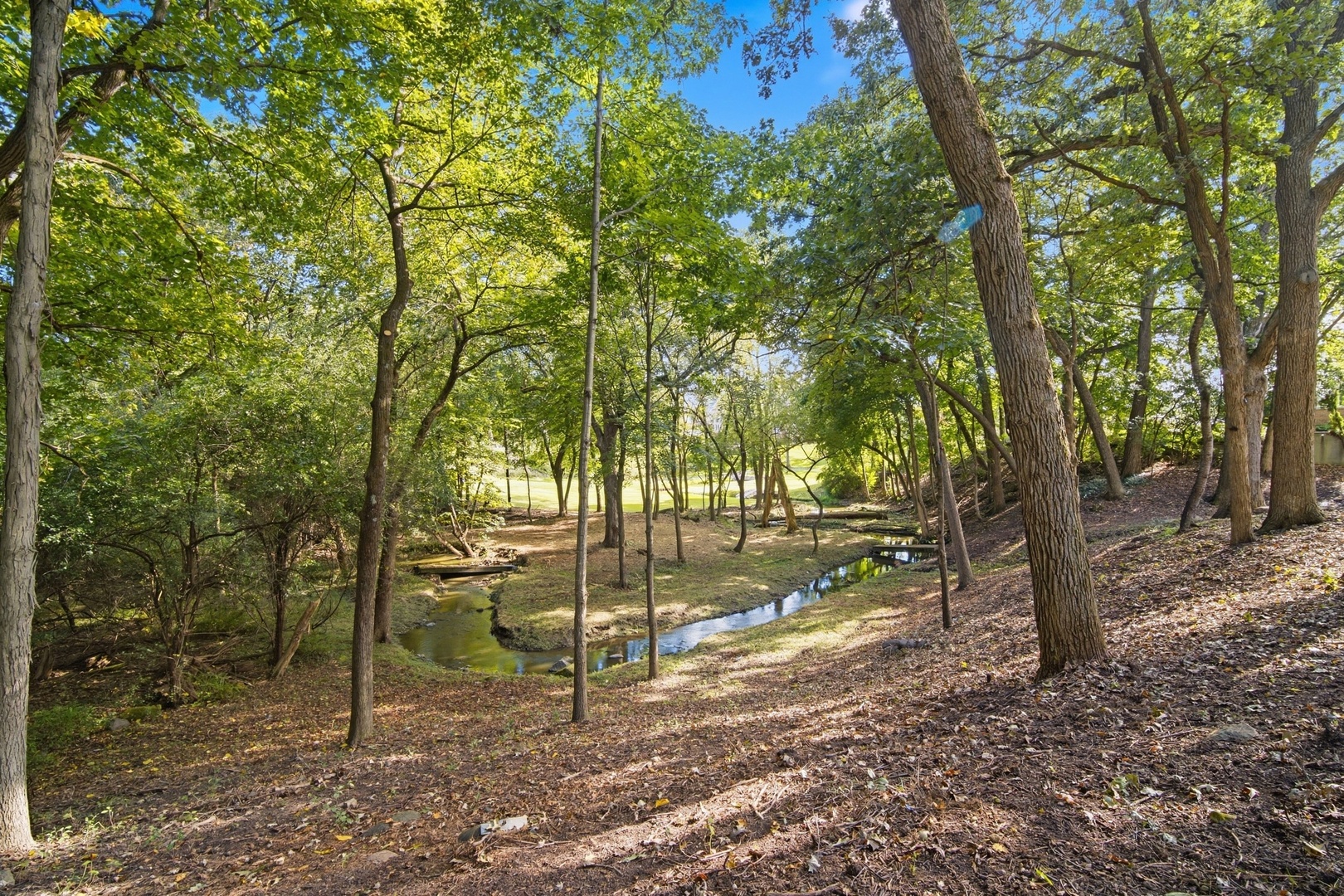 main property photo 71