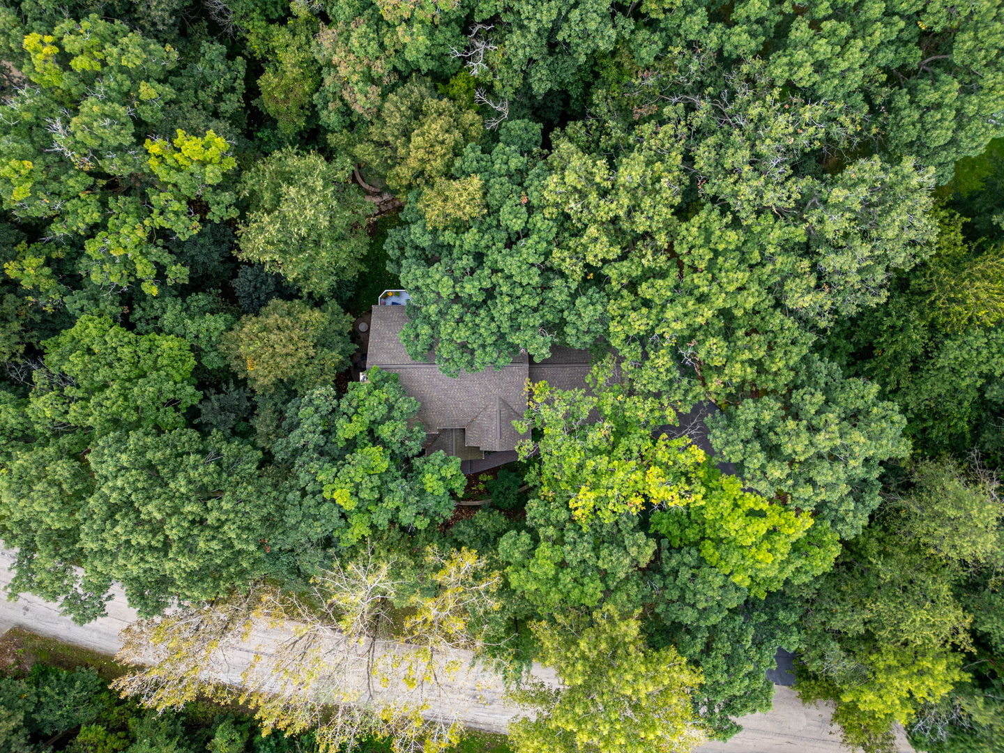 main property photo 54