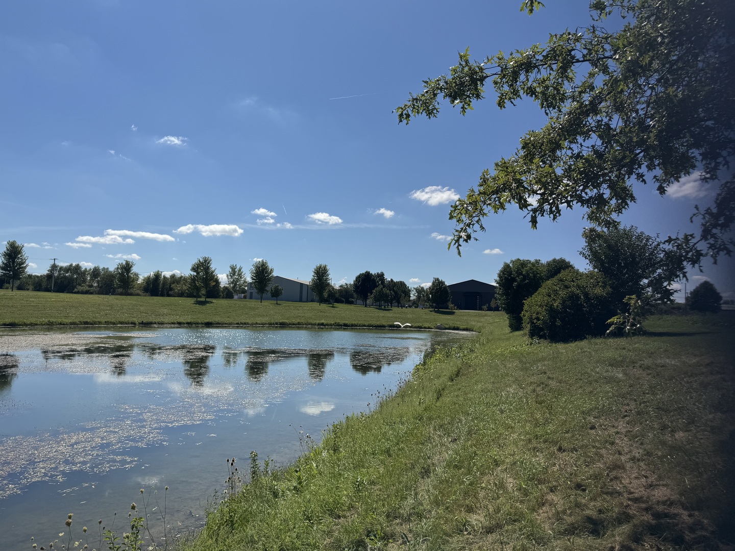main property photo 13