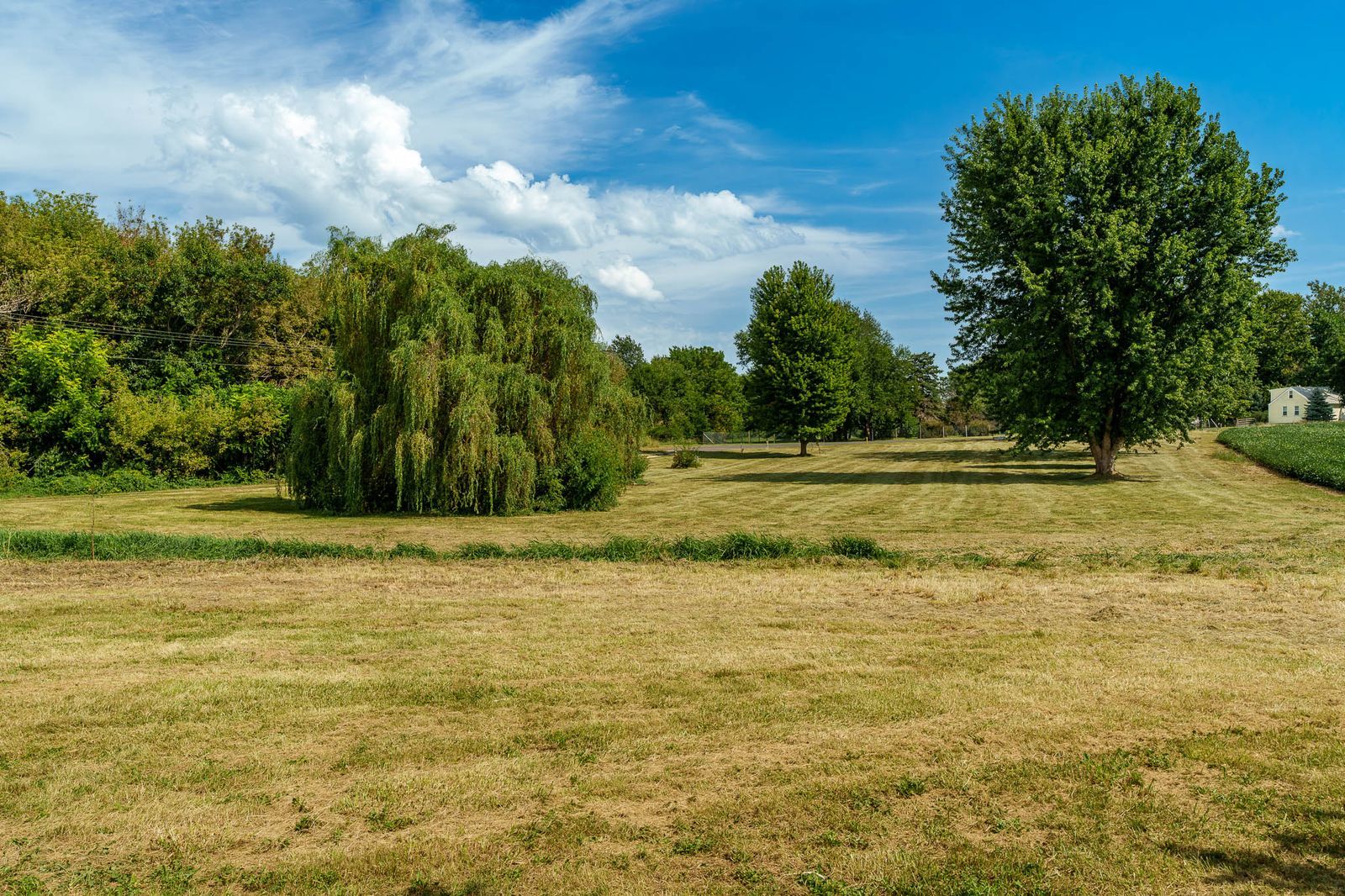 main property photo 64