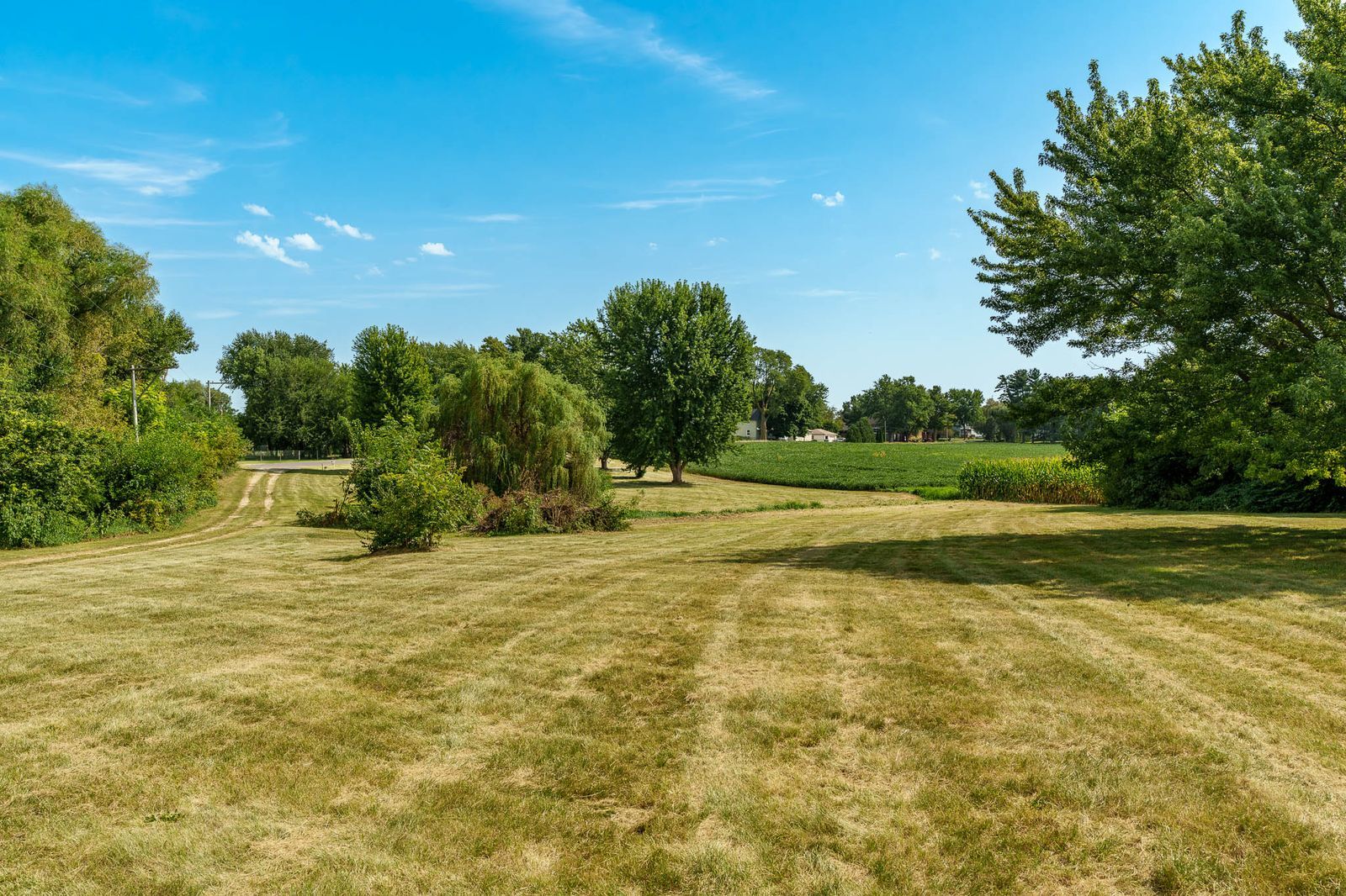 main property photo 65