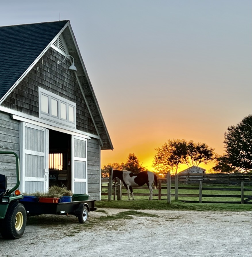 main property photo 56