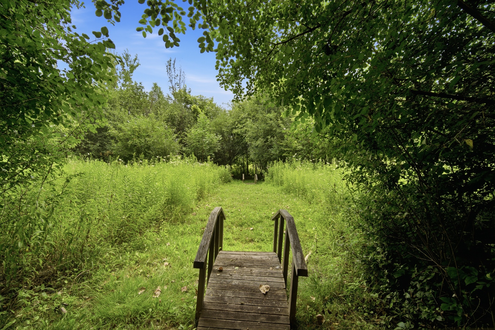 main property photo 43