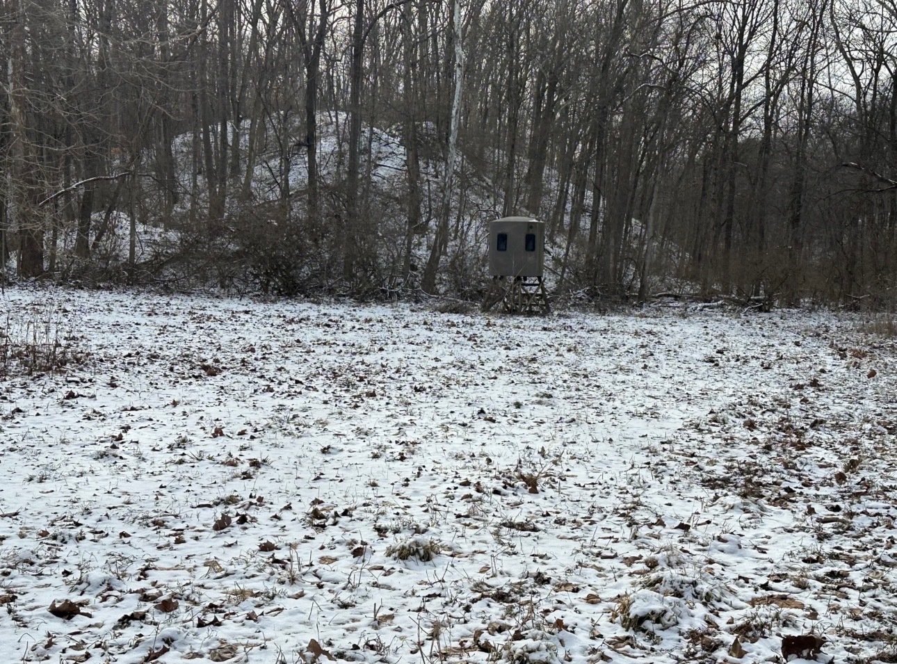 main property photo 31