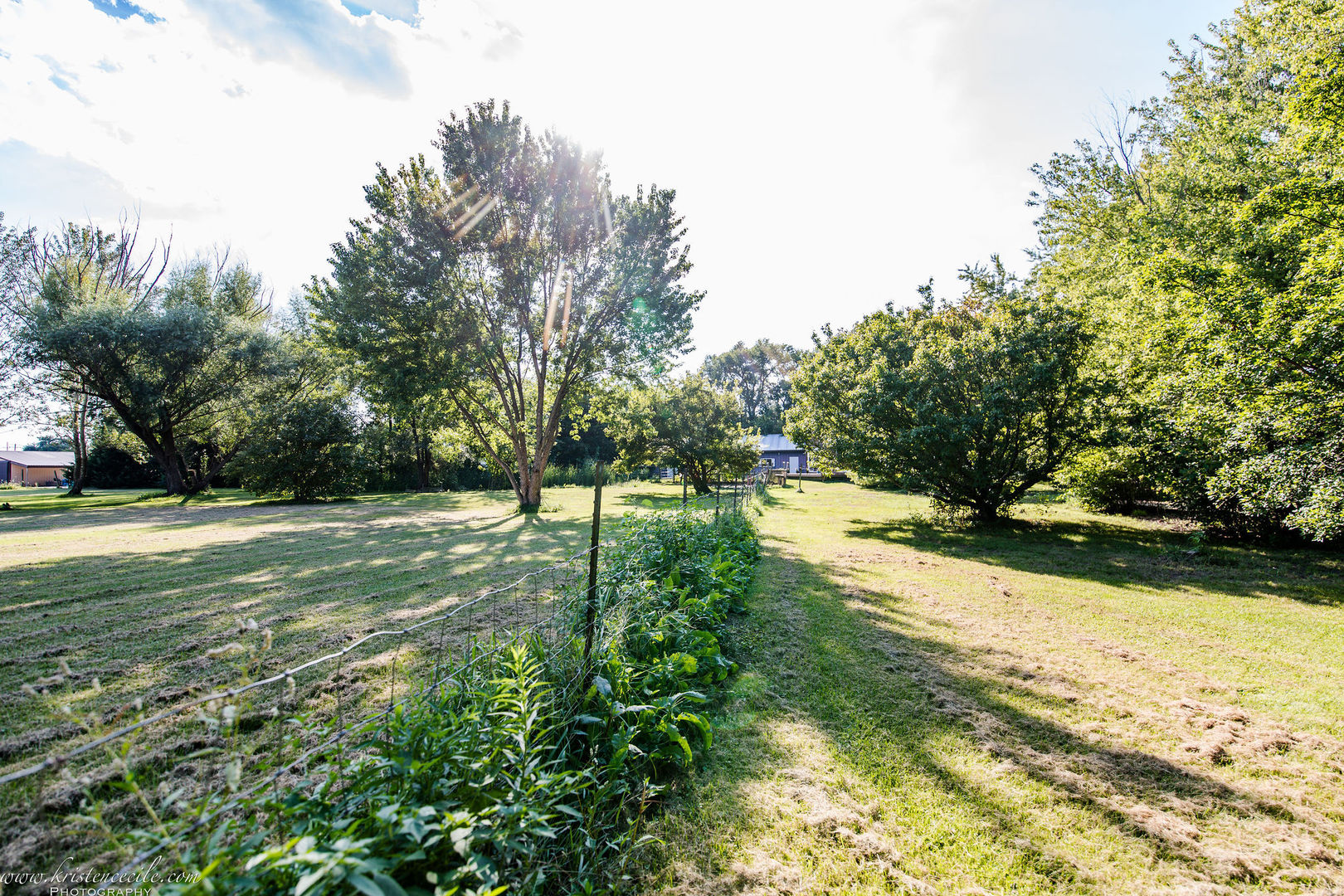 main property photo 38