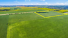 main property photo 8