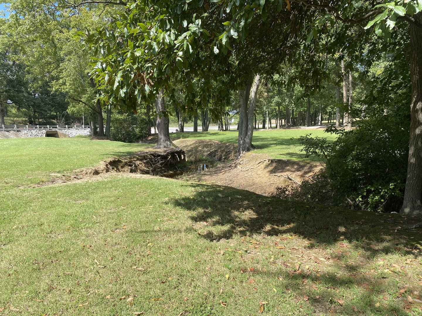 main property photo 13