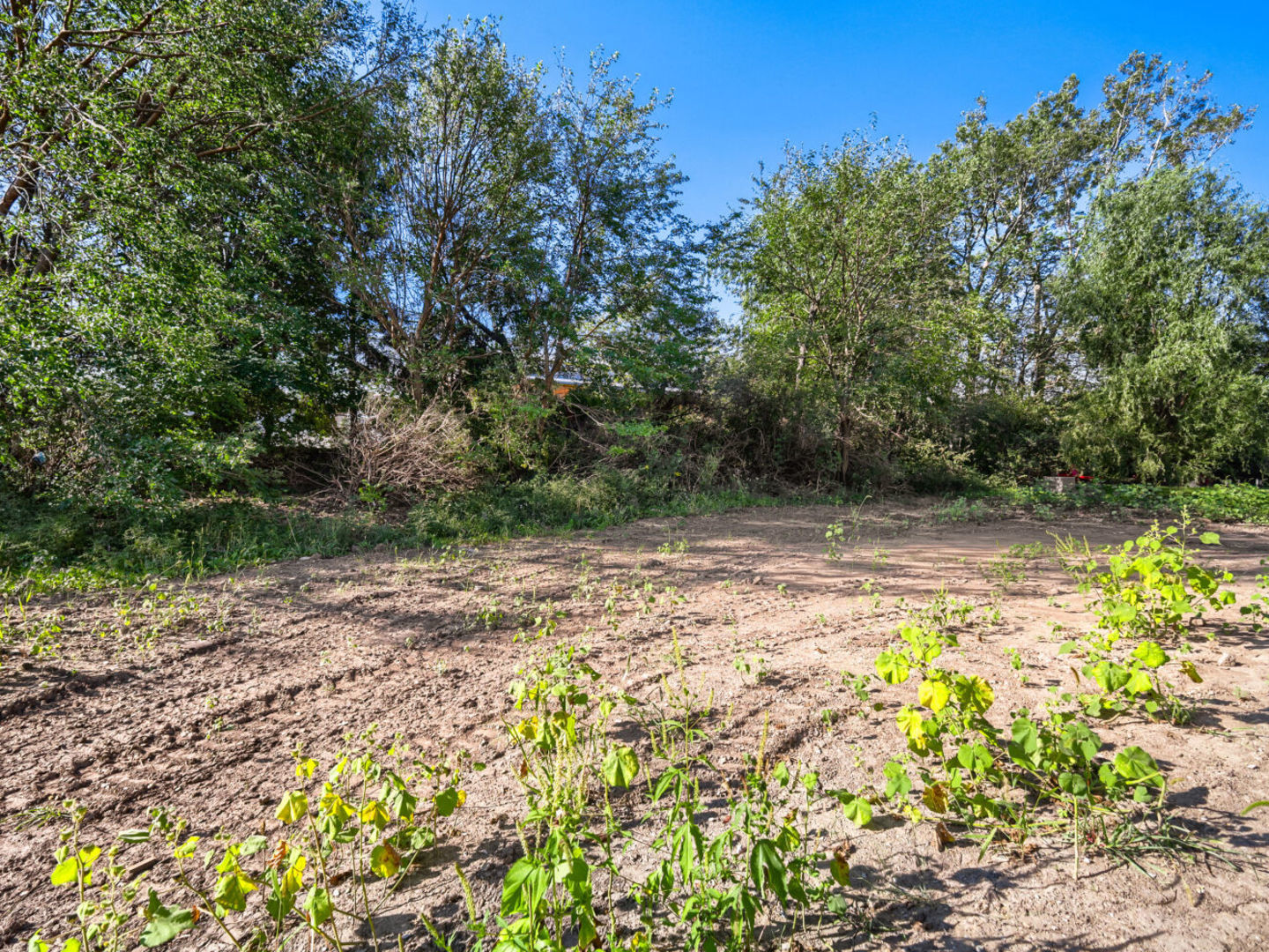 main property photo 24