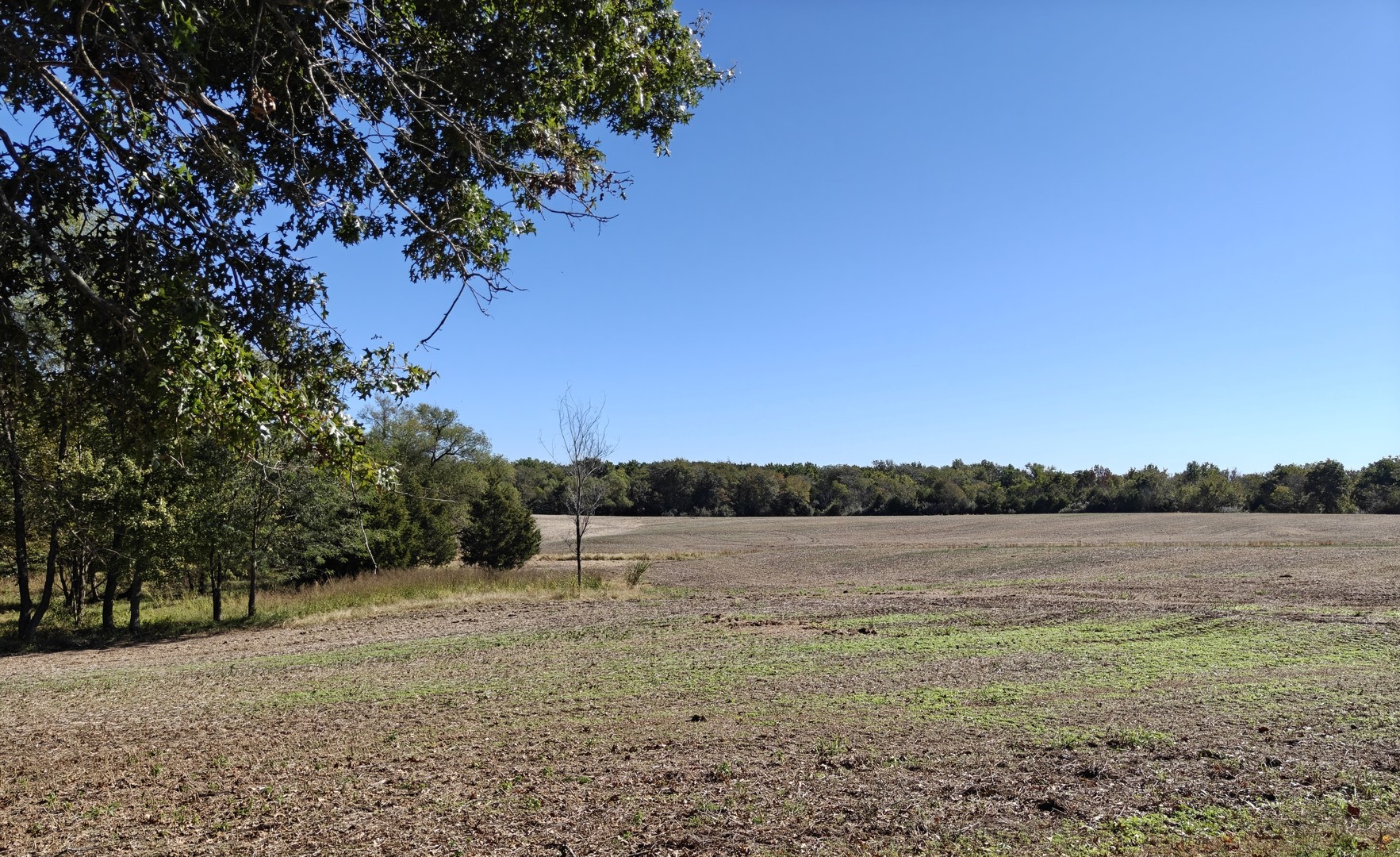 main property photo 37
