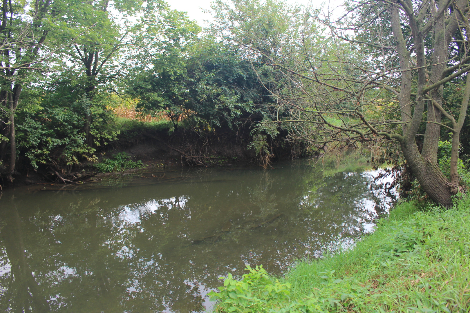 main property photo 8