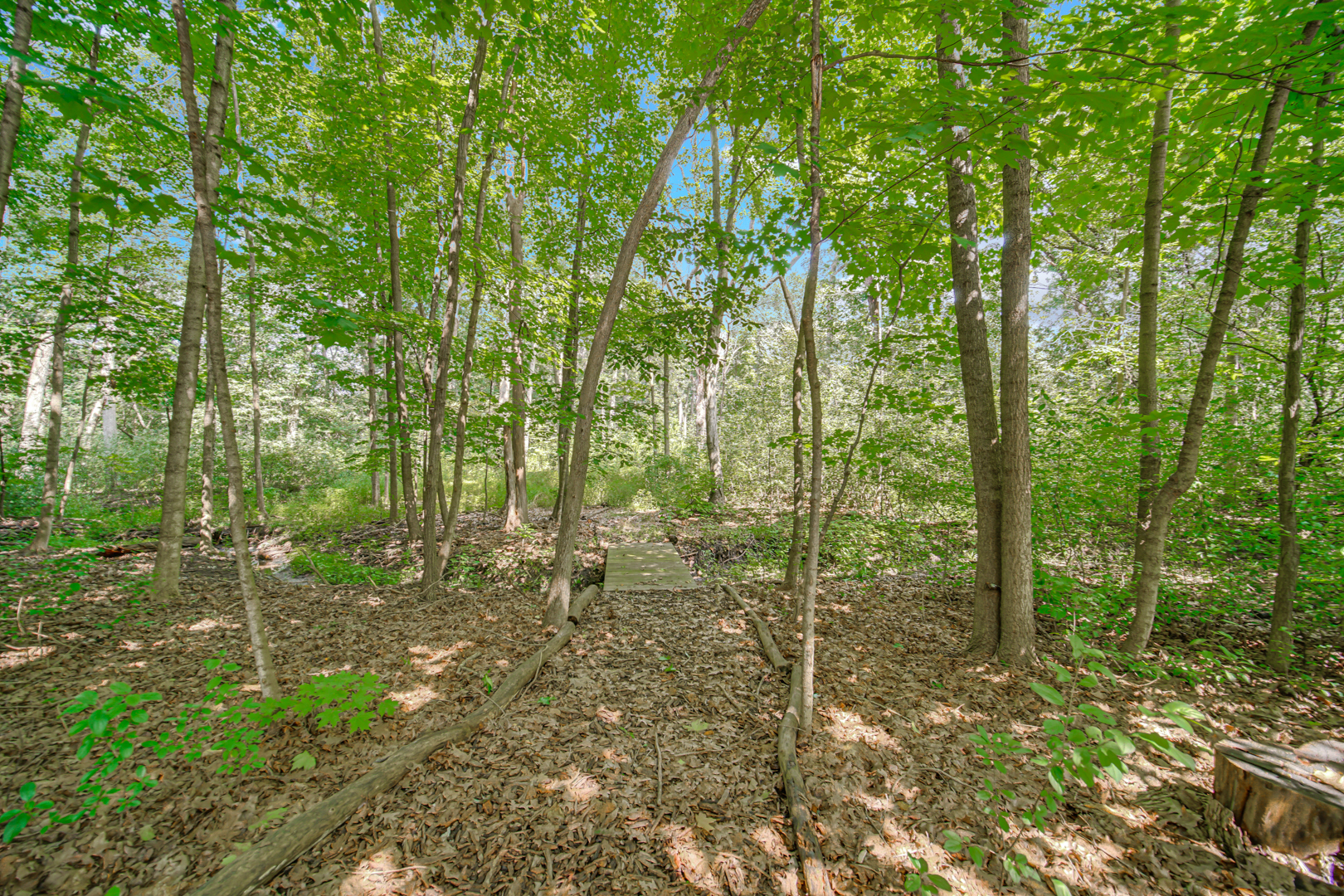main property photo 60