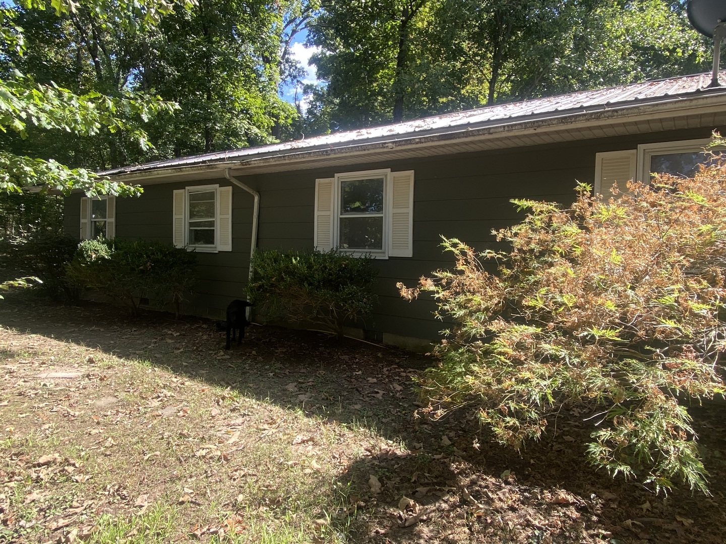 main property photo 15