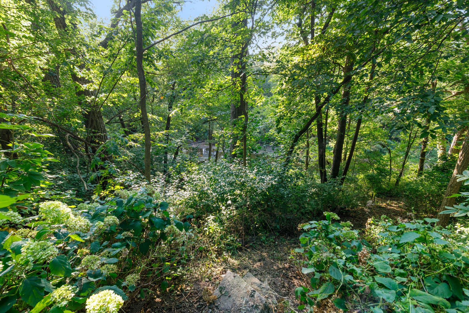 main property photo 50