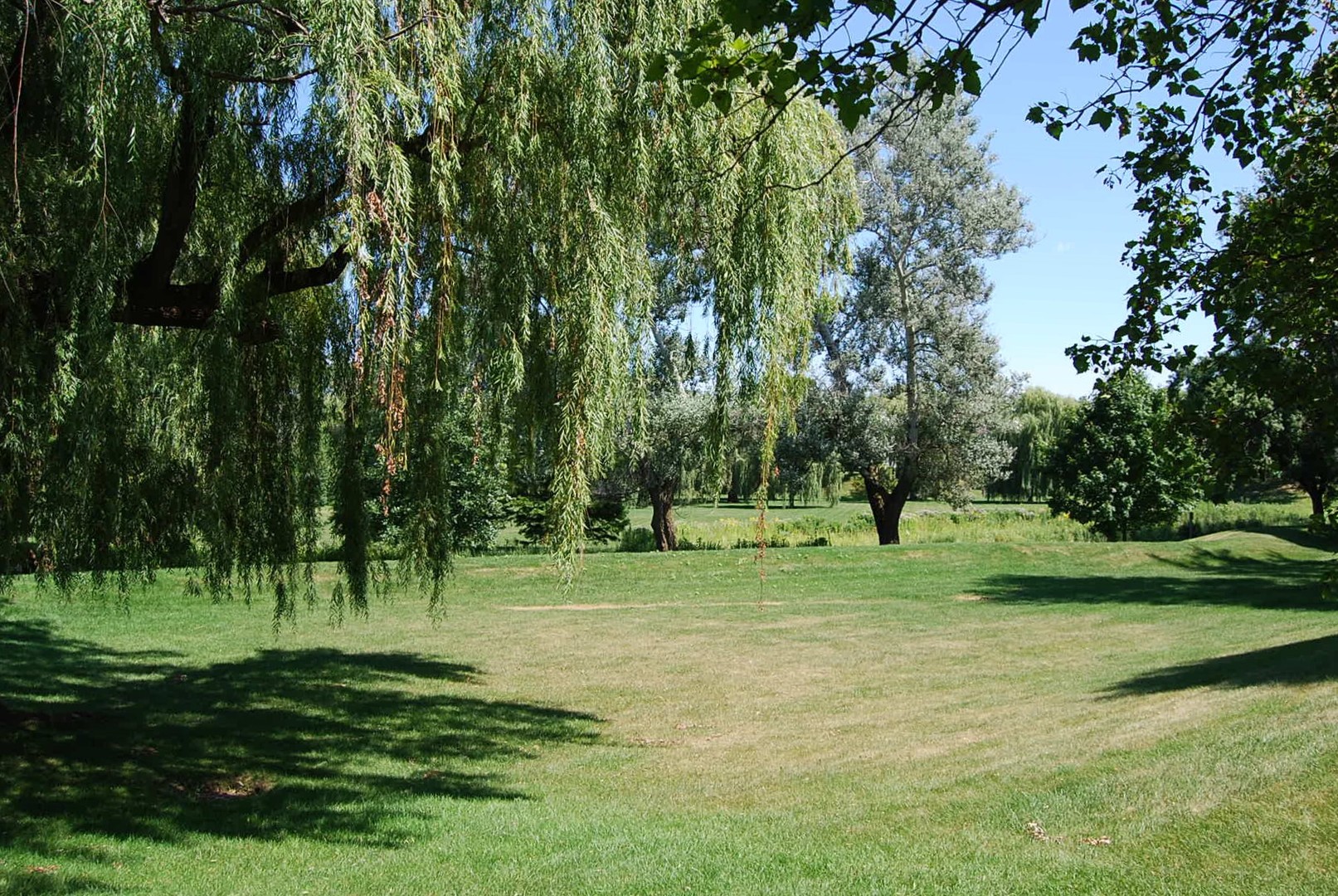 main property photo 31