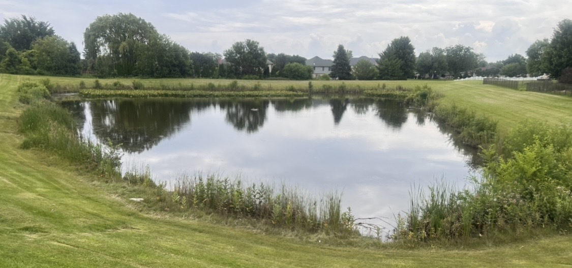 main property photo 78
