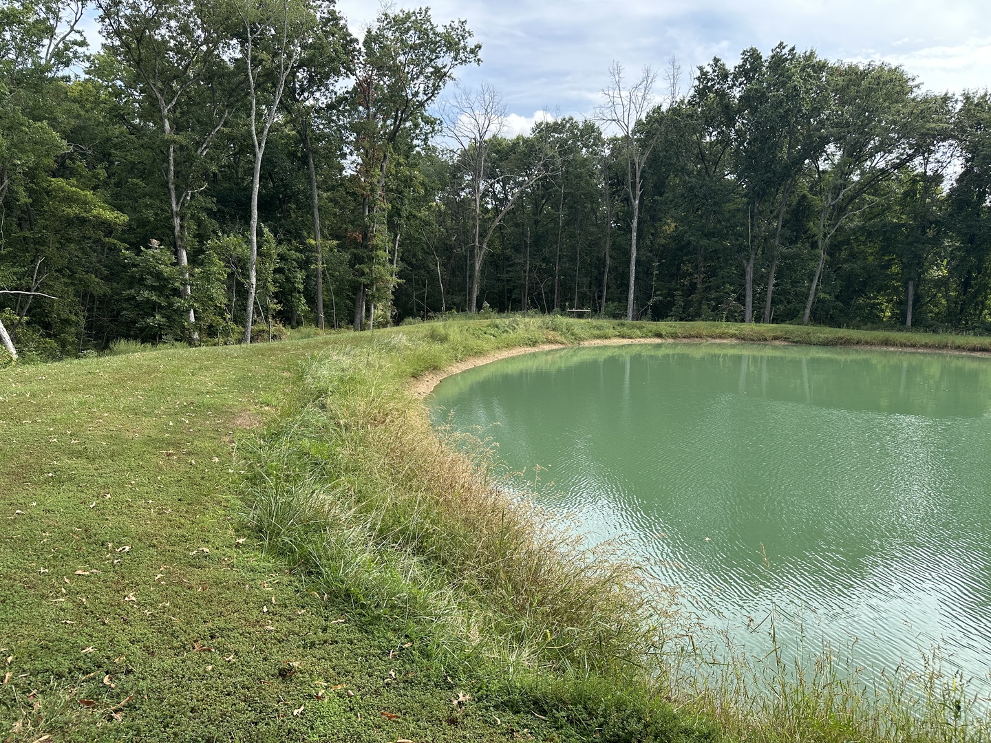 main property photo 14