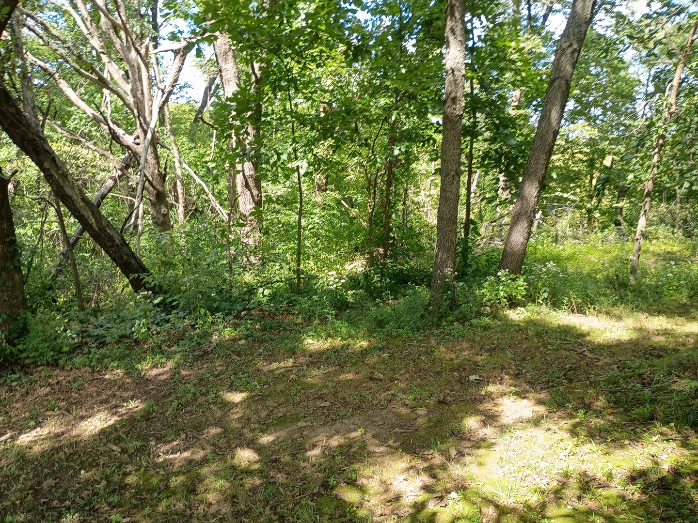 main property photo 16