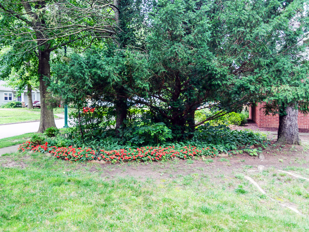main property photo 85