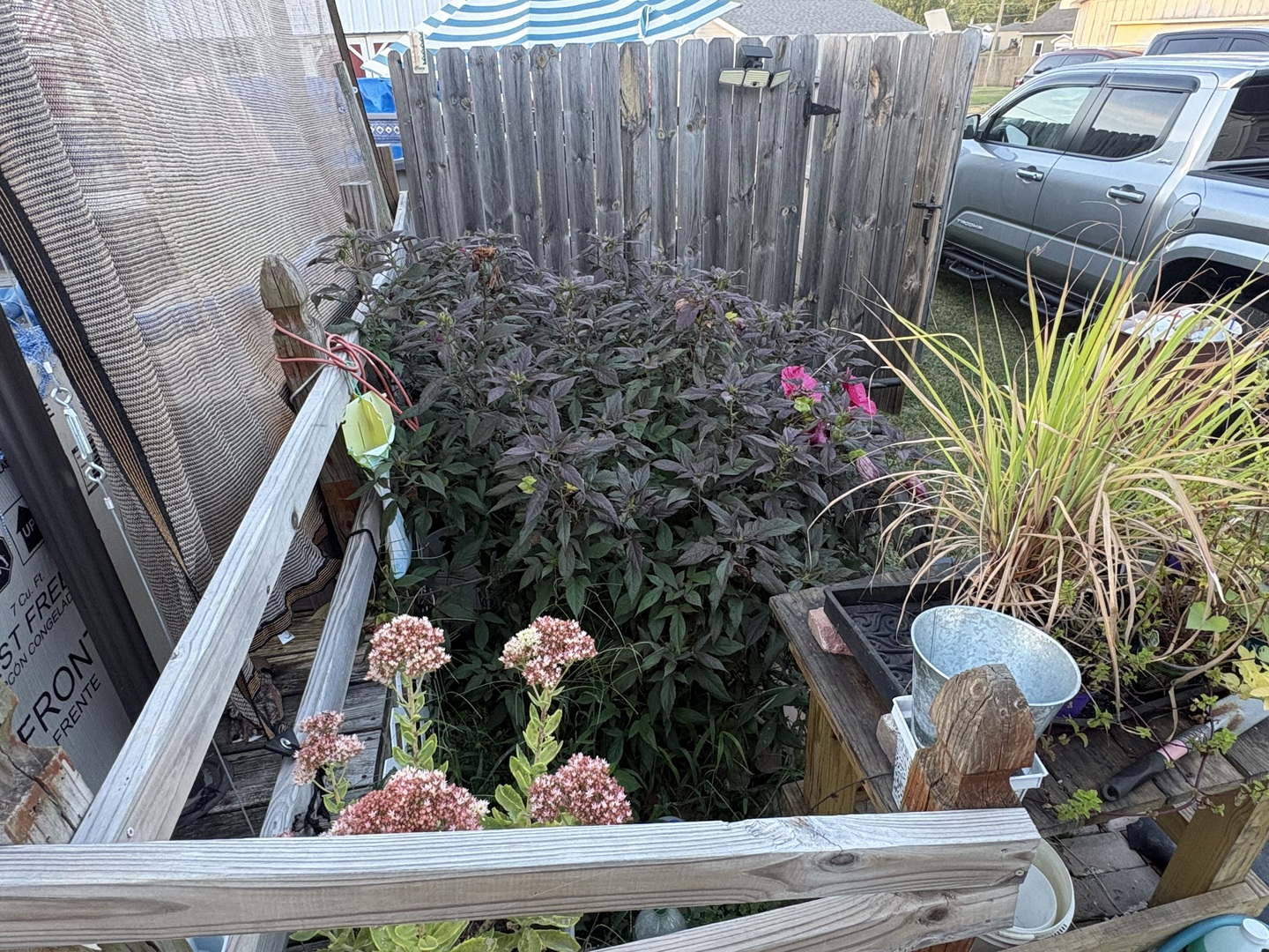 main property photo 21