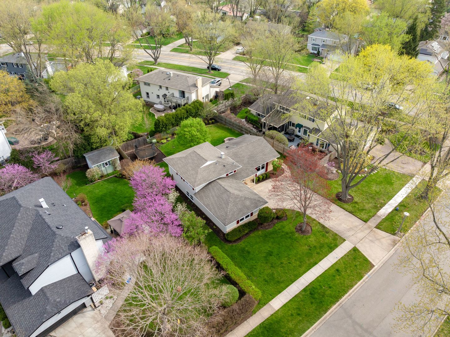 main property photo 32