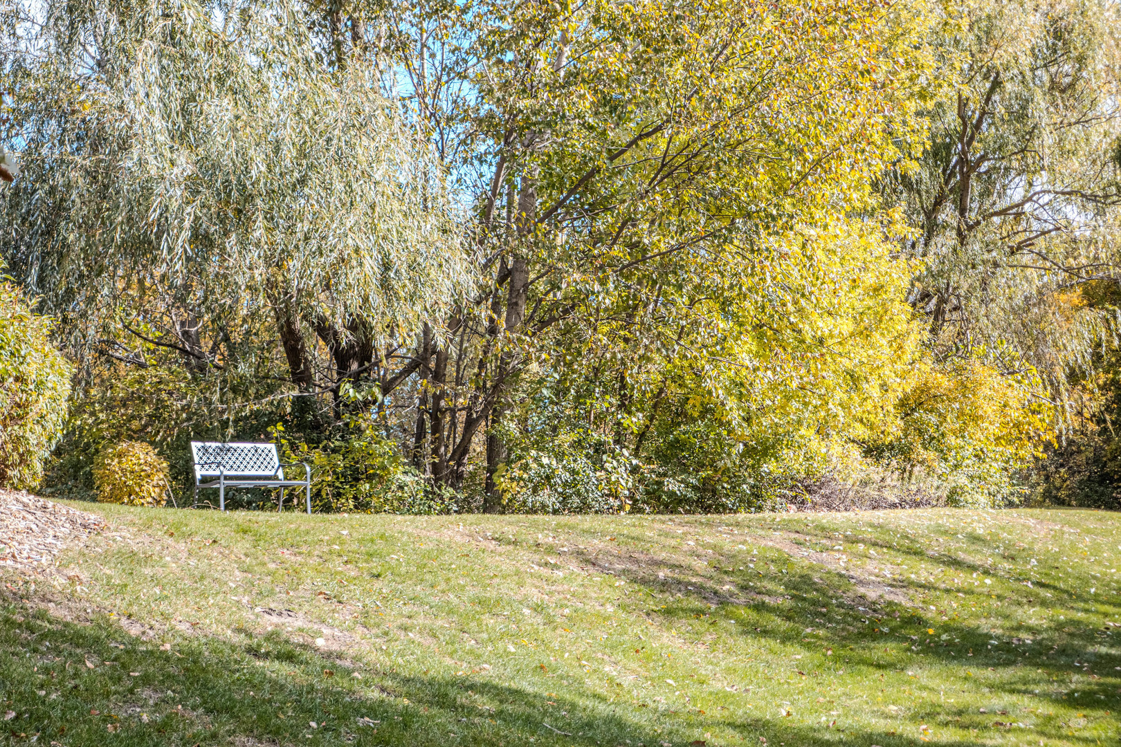 main property photo 37