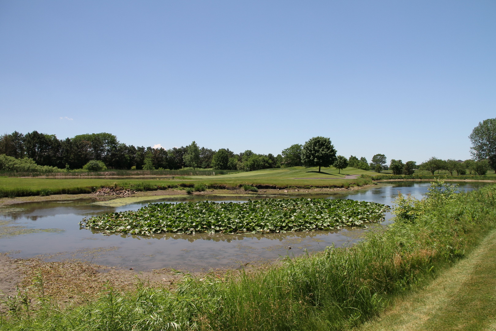 main property photo 34