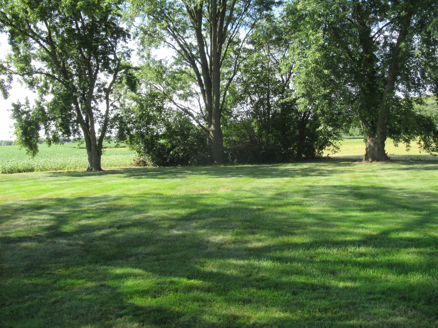 main property photo 18