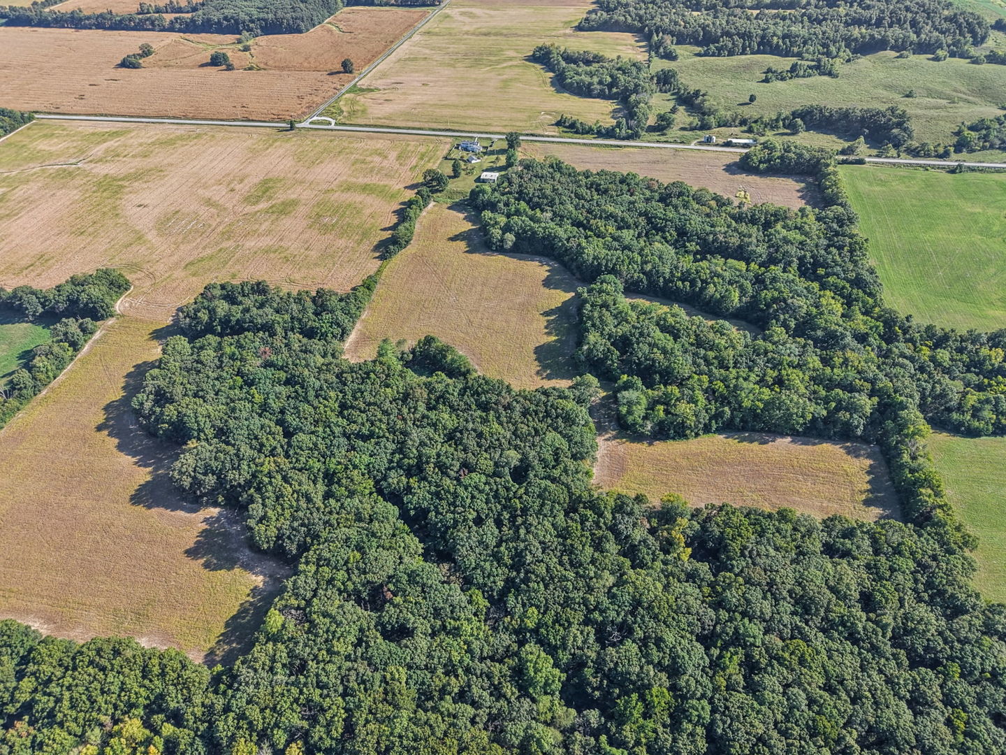 main property photo 17
