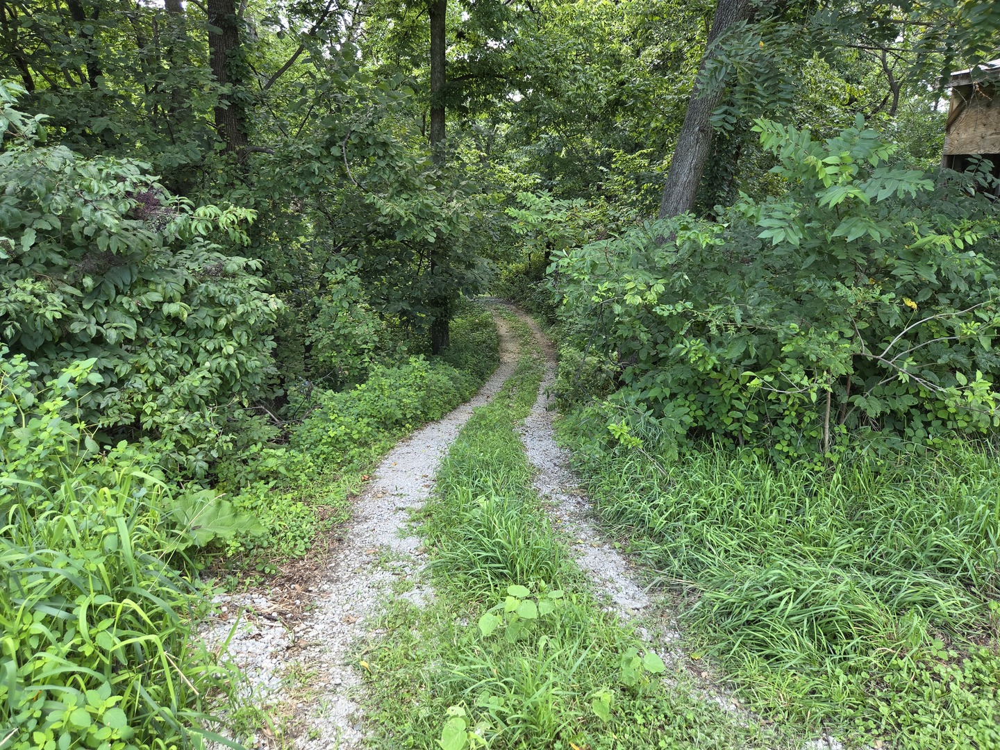 main property photo 45