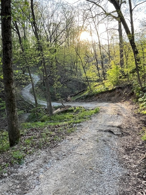 main property photo 46