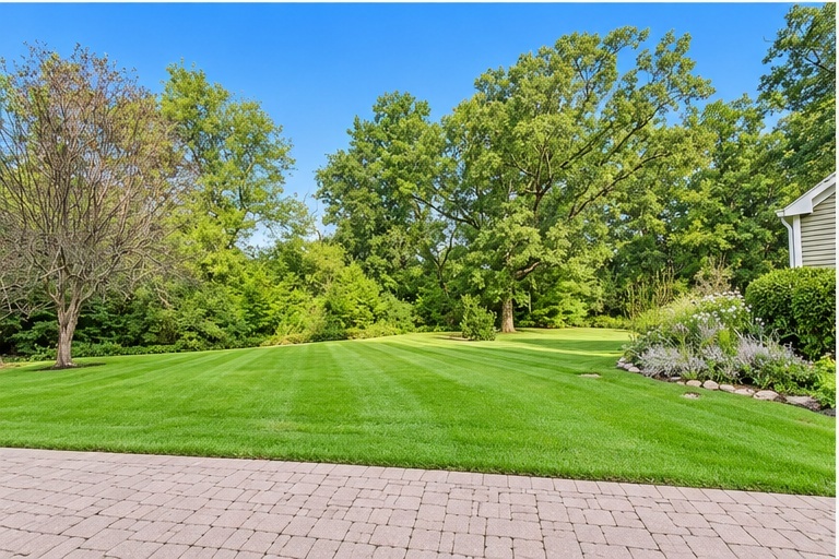 main property photo 58