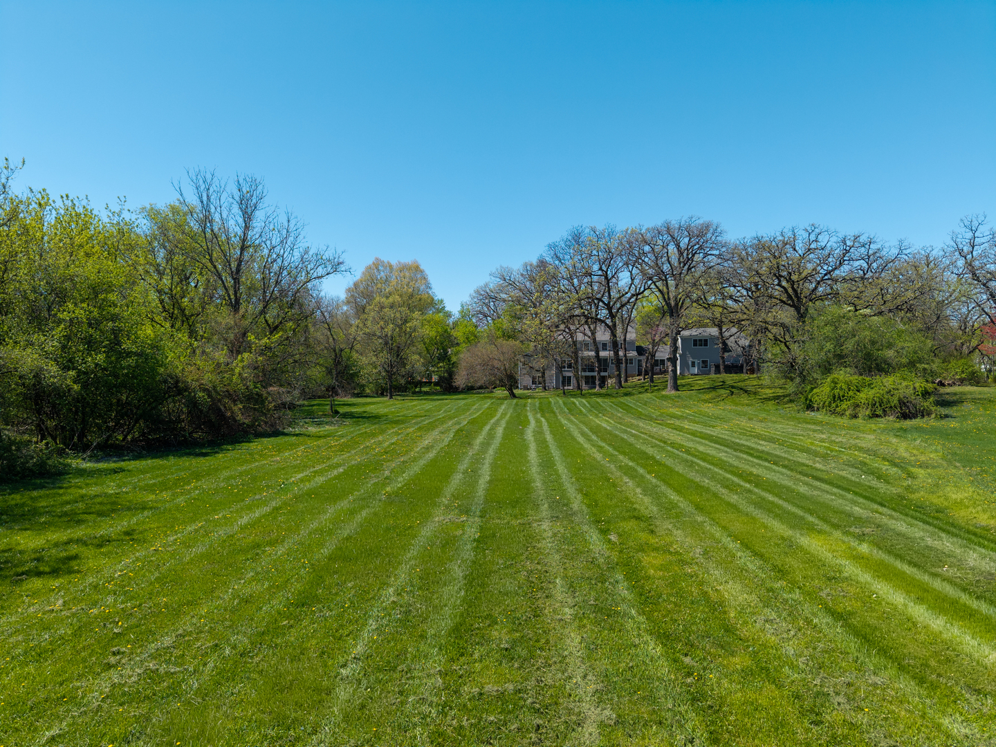 main property photo 43